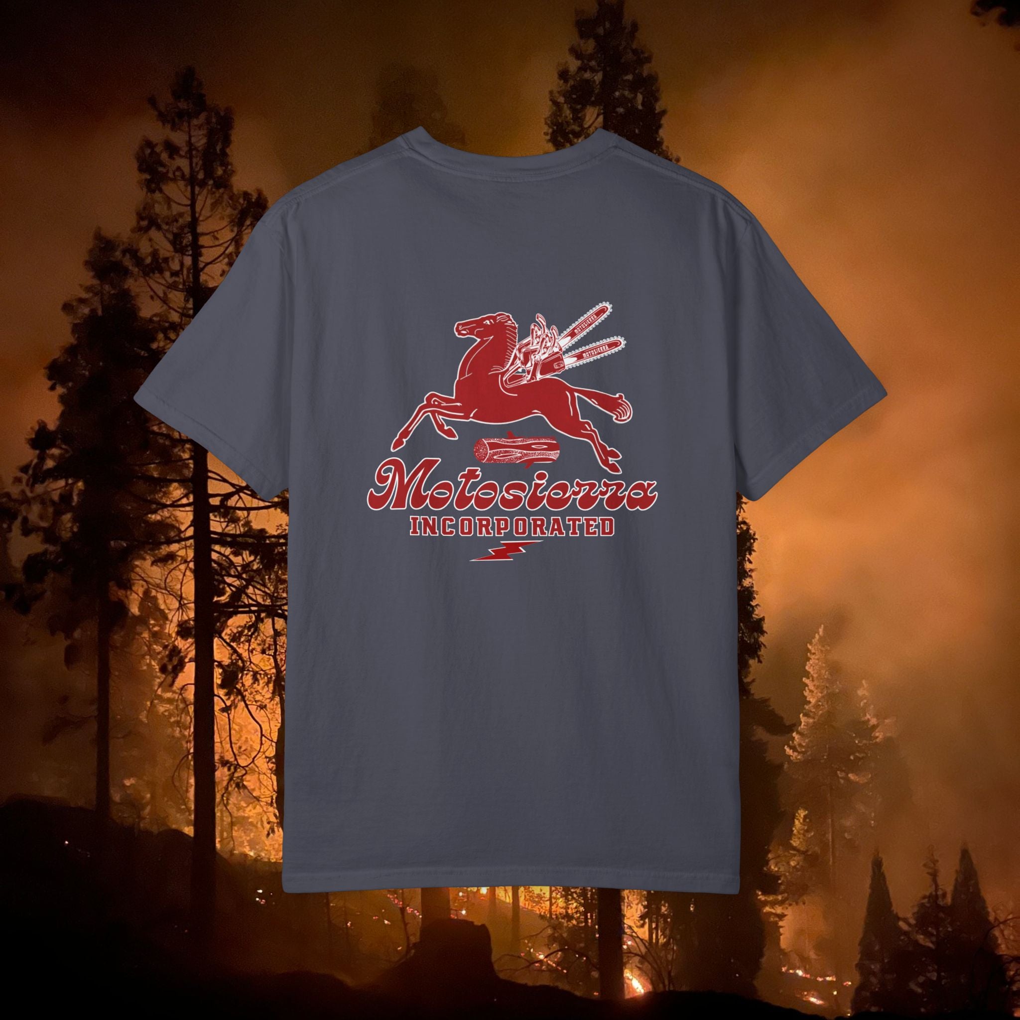 Pegasus Unisex Garment-Dyed T-shirt