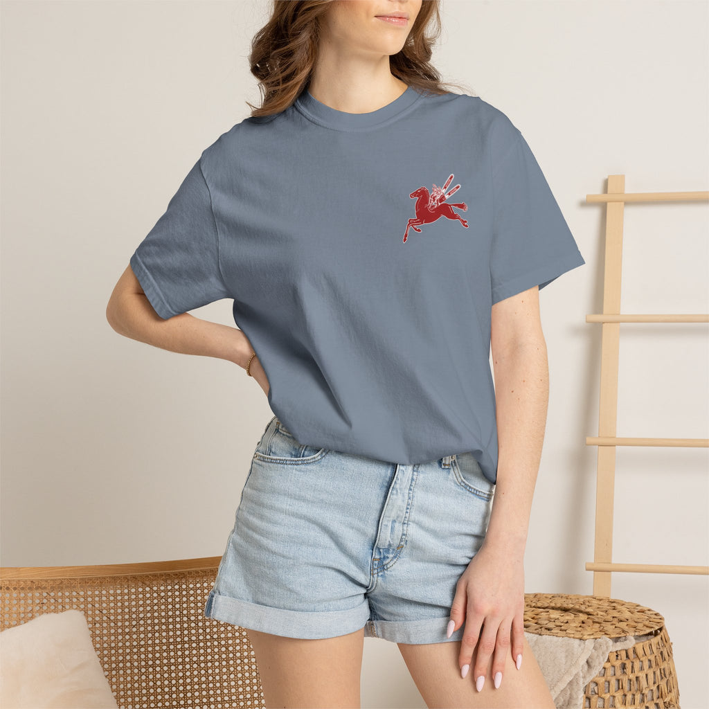 Pegasus Unisex Garment-Dyed T-shirt