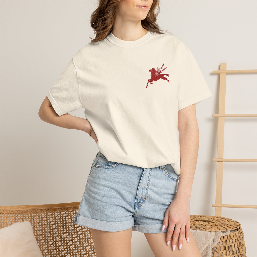 Pegasus Unisex Garment-Dyed T-shirt