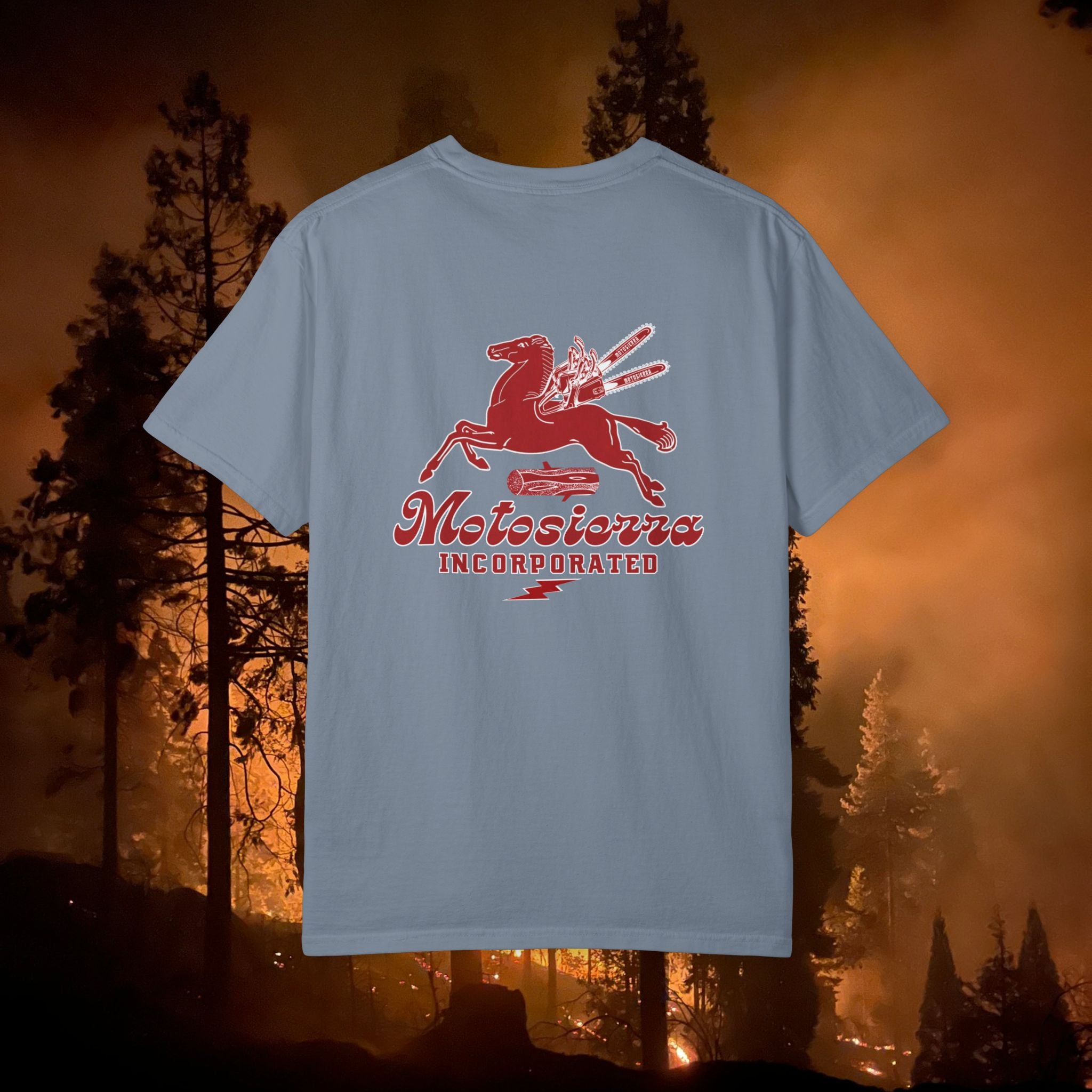 Pegasus Unisex Garment-Dyed T-shirt